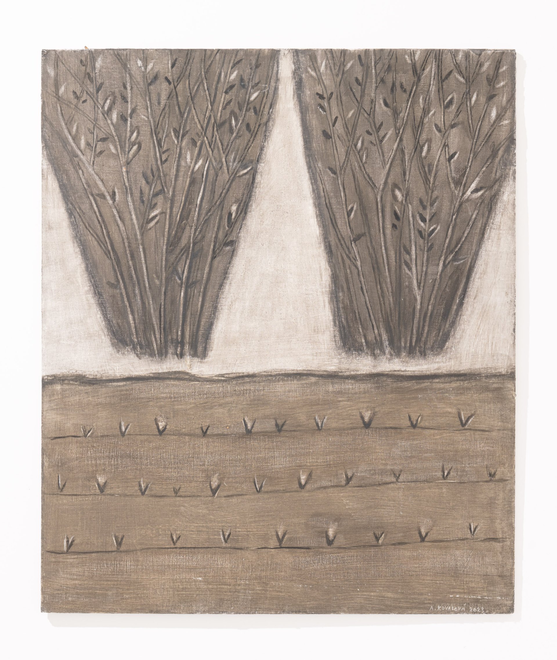 Odposlouchávat ticho